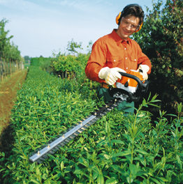 Hedge Trimming Mill Hill